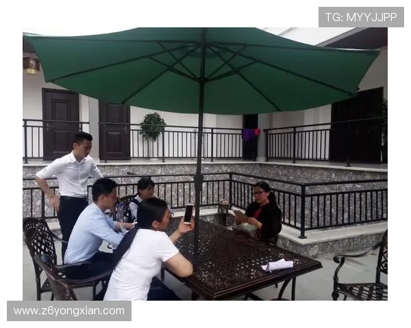 用户对尊龙现金下载官网的反馈及改进建议汇总