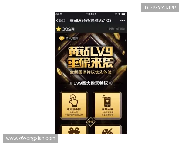 Z6尊龙集团官网提供的VIP特权与专属福利详细介绍及领取方法指南